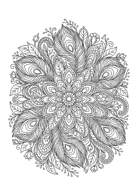 Coloriage d’un mandala de plumes de paon et de volutes autour d’une fleur centrale
